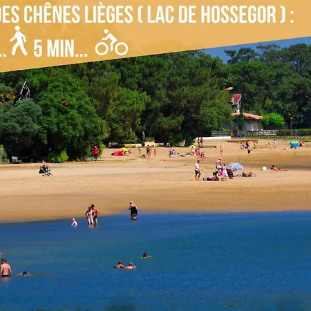 Hossegor - 100m - Surf - Famille - Couple Appartement *